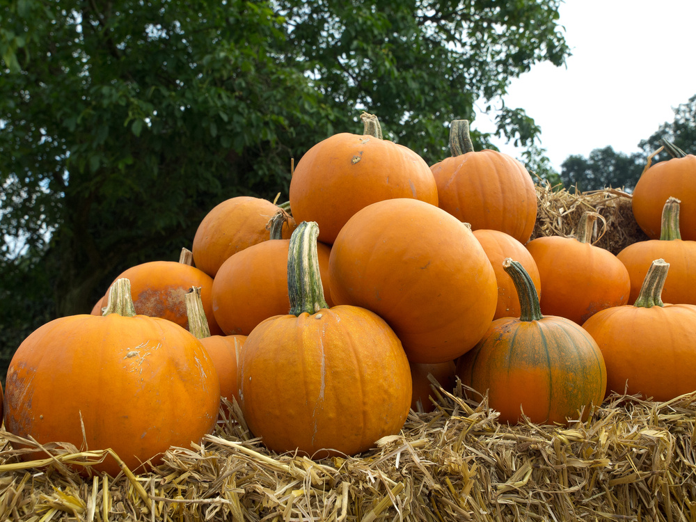 Engineering Halloween: The Science Behind Spooky Fun